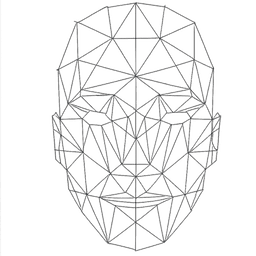 Face mesh